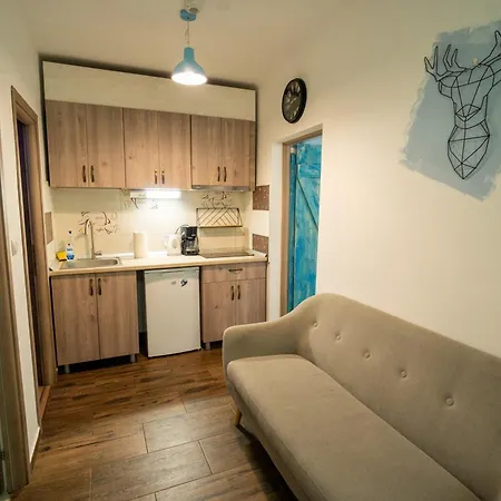 Apartment Barrique Baritiu