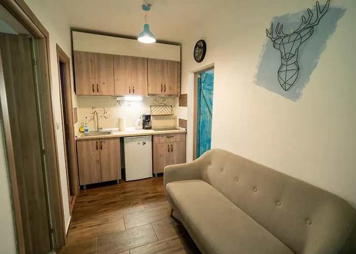 Apartment Barrique Baritiu