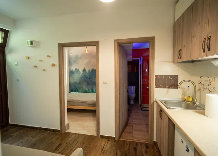 Barrique Baritiu Apartmán *