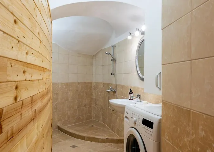 Barrique Baritiu 6 * 브라쇼브